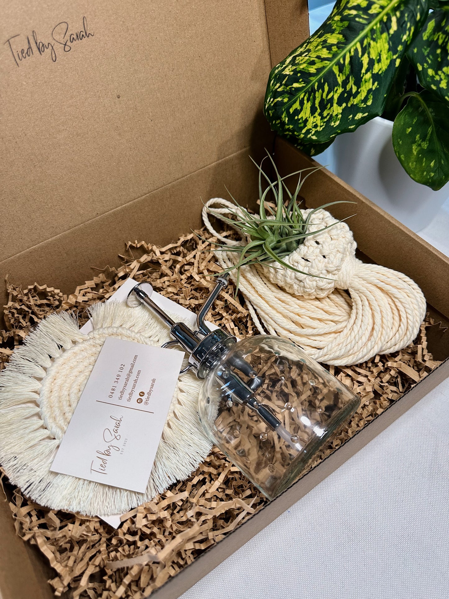 Air-plant Pod Gift Box