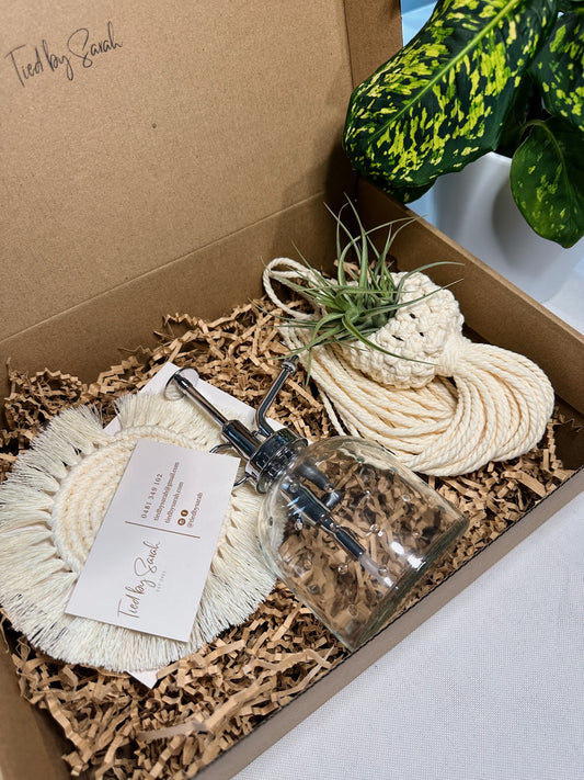 Air-plant Pod Gift Box