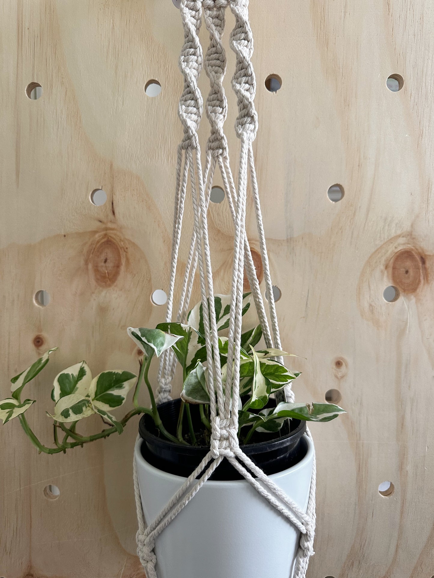 Plant Hanger - Lilly