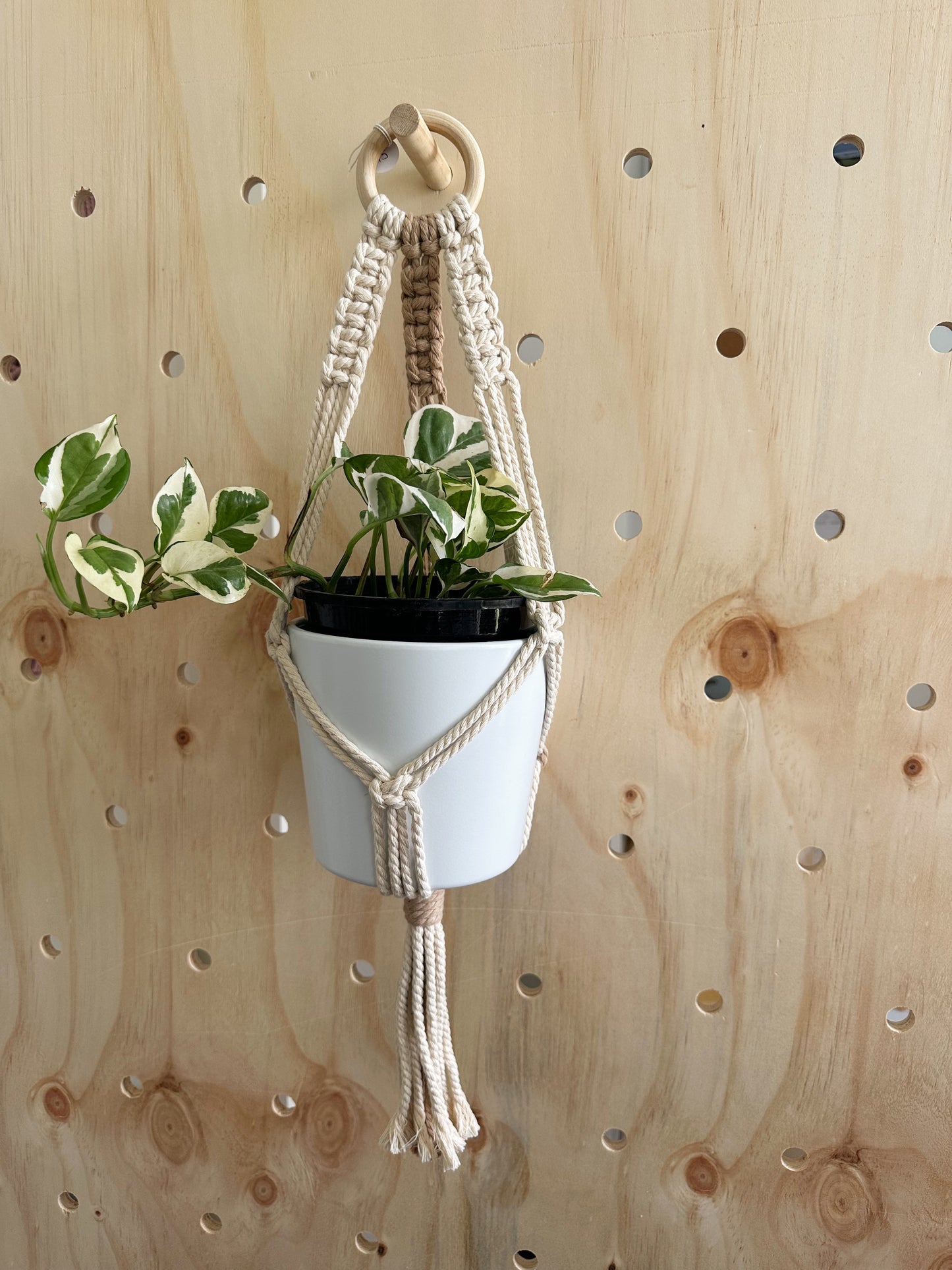 Plant Hanger - Hazel