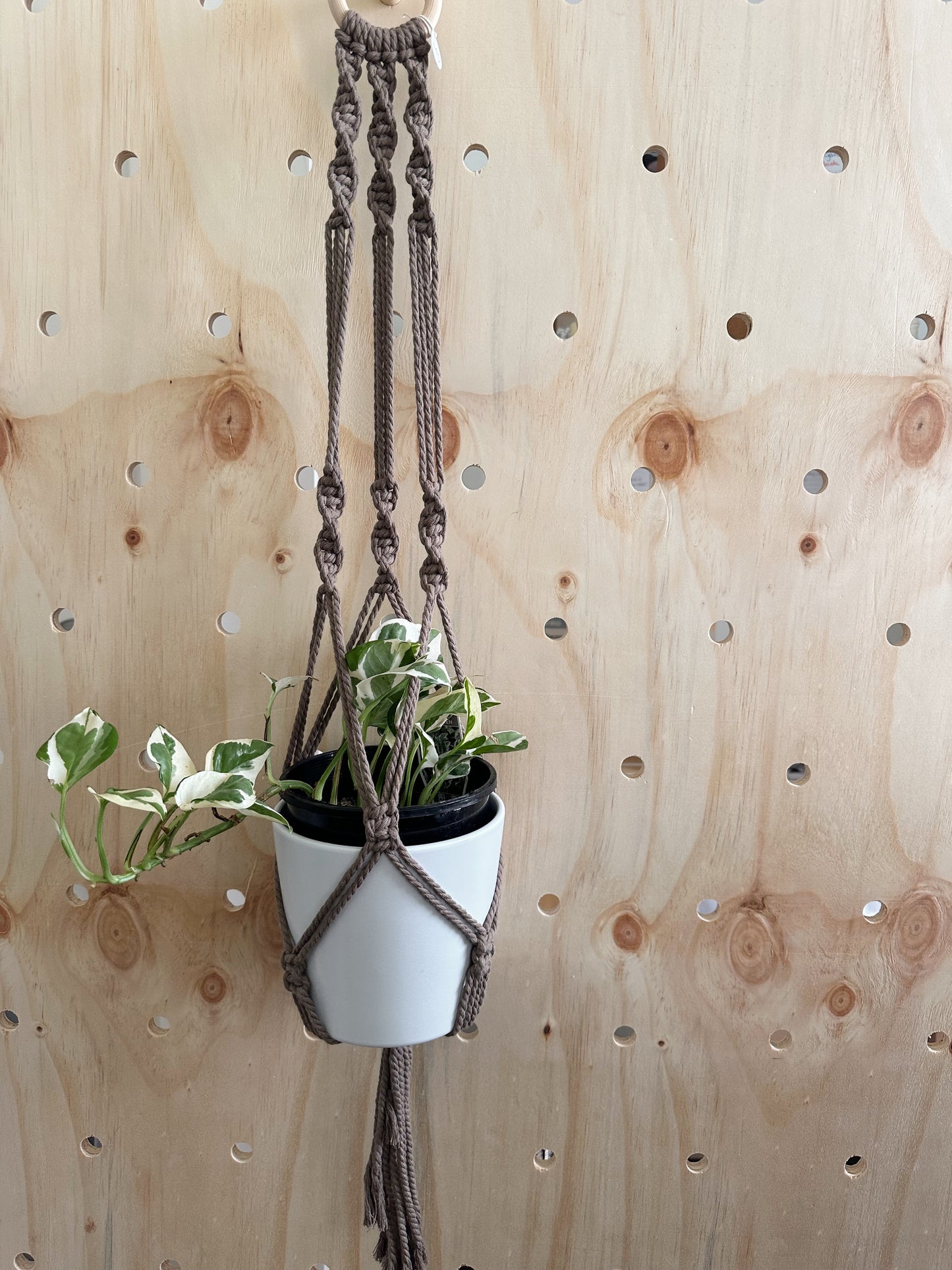 Plant Hanger - Oakley