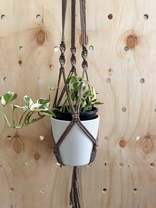 Plant Hanger - Oakley