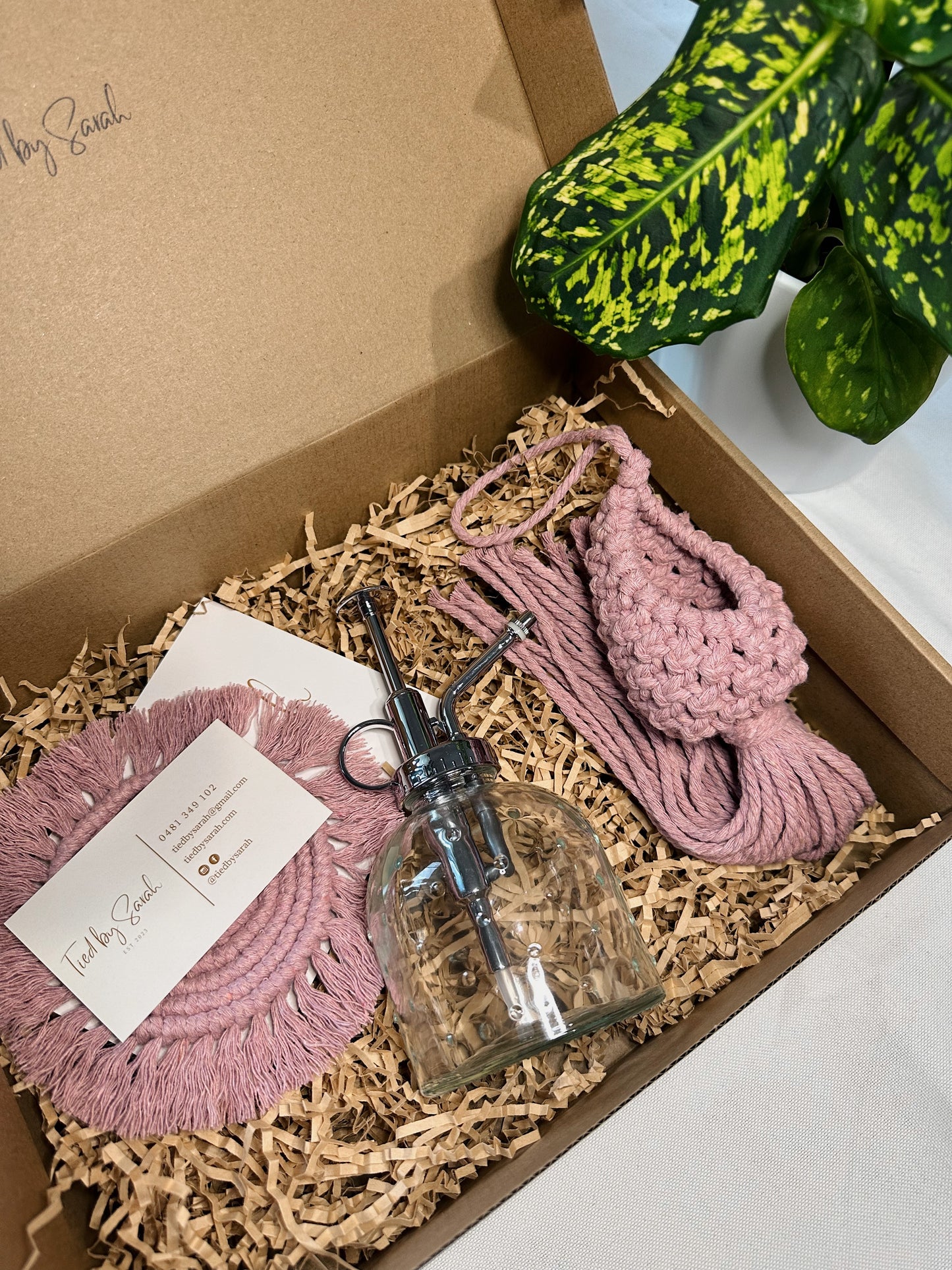 Air-plant Pod Gift Box